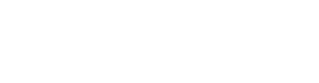 Mister Auto